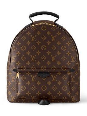 Louis Vuitton Monogram Palm Springs MM
